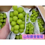 🇯🇵日本山梨🍇麝香葡萄（🚚全台宅配免運）