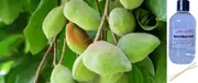 Kakadu Plum & Bush Cucumber - Reed Diffuser Refill
