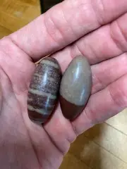 Shiva Lingam Rocks Narmada River Imported From India Pair Two Specimens 557