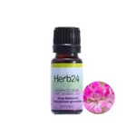 HERB24 🌱本我輪｜埃及玫瑰天竺葵 100%純質精油 10ML