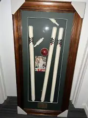 SHANE WARNE HAND SIGNED CRICKET BALL & STUMP FRAME COA - Bradman Ashes MCG