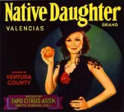 Santa Susana Native Daughter 2 Orange Crate Label Print