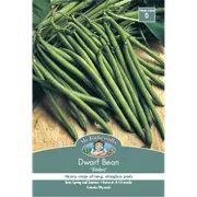 Mr Fothergill's Simba Dwarf Bean Vegetable Seeds