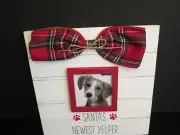 "Santa's Newest Yelper" Doggie Frame by Mud Pie, NWT