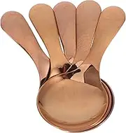HAWILLOSCH Stainless Steel Mini Spoons 5 Pack Short Handle Spoons for Salt Condiments Sugar Honey Perfect for Tea Coffee Soup Desserts