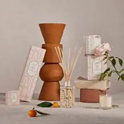 CIRCA Rose Nectar & Clementine Fragrance Diffuser 250ml