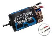 Reedy Radon 2 Crawler 550 14T 5-Slot 1600kV Brushed Motor ASC27464
