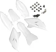 ZTDZZH TTR 50 White Plastic Body Fender Kit for Chinese TTR 50cc TTR50E Pit Dirt Bikes Including All Mounting Screw