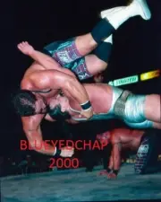 RICK & SCOTT STEINER WRESTLER 8 X 10 WRESTLING PHOTO WCW WWF