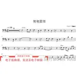 熱賣精品匆匆那年 王菲 華語流行歌曲 大提琴獨奏譜+配套伴奏音頻MP3