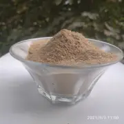 forest champignon mushrooms Ecologically Tasty for cooking natural - powder