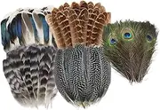 Hisxrcal Artificial Feathers for Crafting Handicraft Items Colorful Options for Events, 50pcs