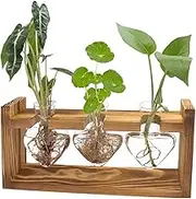 3 Pcs Glass Hydroponic Vase, Heart Test Tube Vase, Planter Propagation Station, Portable Glass Planter Wooden, Suitable for Office Home Decoration