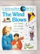 【書寶二手書T4／少年童書_D15】I wonder why the wind blows and other questions about our planet_Anita Ganeri.