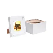 Nicola Spring 8" x 8" White 3D Box Photo Frames - 4" x 4" Mount - Pack of 5