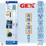 日本 GEX 五味 海綿青苔刮除刀 刮刀 清潔刷 除藻刷 清潔棉 刷玻璃 魚缸清潔刷 刷髒汙 婷婷百貨 金金水族