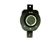 Ferrari 458 MIRROR SWITCH 259909