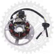 Stator For CPI Aragon 50 GP Paddock