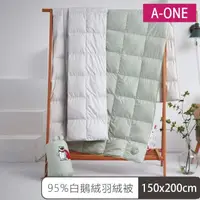 在飛比找momo購物網優惠-【A-ONE】95%波蘭白鵝絨 羽絨冬被(150cmx200