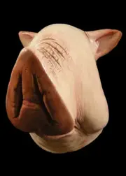 Scary Funny Crazy Boss Pig Halloween Mask