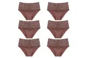 6 Pack Triumph Essential Lace Maxi Womens Underwear Full Briefs Cacao Brown Bulk Undies