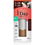 現貨)免運)日本 CIELO 宣若 染髮棒 白髮用 補染筆 局部染髮棒 1DAY新包裝