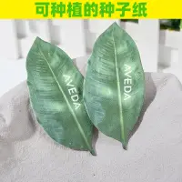 在飛比找蝦皮購物優惠-客製化 卡片 可種植種子卡門票邀請函活動入場券 植樹節可發芽