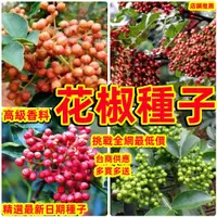 在飛比找蝦皮購物優惠-🔥🔥【花椒種子 】大紅袍花椒種子 花椒種子 高級食用香料 優