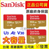 在飛比找蝦皮購物優惠-附發票 SanDisk Extreme  256G 512G