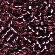 Silver-Lined Smoky Amethyst Miyuki Seed Beads 5/0 (05-153S-TB)
