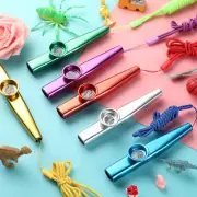 Metal Kazoo Classic Musical Instruments Solid Wood Group Flute for Kids Adults