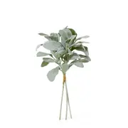 [James Lane] Lambs Ear Bundle - 25 x 25 x 35cm