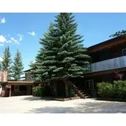 Moose Creek Inn