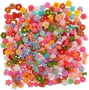 OHPHCALL 300pcs Mini Resin Flatback Flower Charms Tiny Mixed Colors for DIY Nail Art Phone Case Decoration Scrapbooking Craft Embellishments Durable