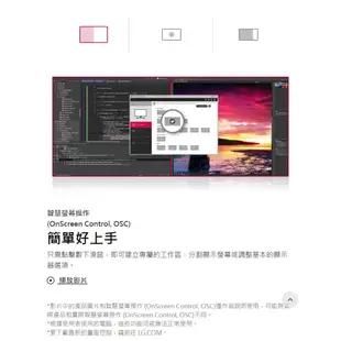 LG 樂金 29WQ600-W 智慧多工電腦螢幕 29型 HDR10 1ms 立體聲喇叭 易飛電腦