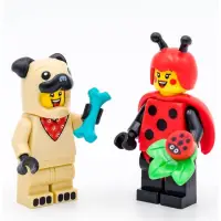 在飛比找蝦皮購物優惠-LEGO 樂高 人偶包 71029 Minifigures 