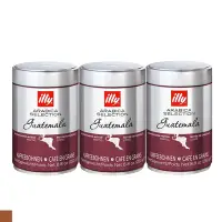 在飛比找Yahoo奇摩購物中心優惠-illy 瓜地馬拉風味 咖啡豆 (250g/罐) 3入組