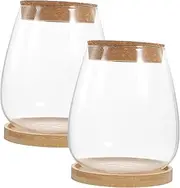 ANDRESLAD 1 Set Micro Landscape Bottle Plant Holder Glass Terrarium Container for Decor Durable Lightweight for Home Office Garden Use