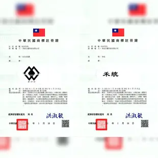 【禾統】台灣現貨 7075航空鋁折疊登山杖 附收納袋 航太鋁合金 鋁合金登山杖 登山 健走 航空鋁合金 伸縮登山杖