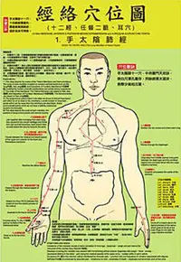 在飛比找松果購物優惠-雙面彩色人體英中繁簡體經絡穴位圖 (7.7折)