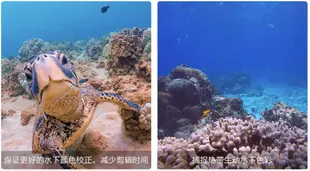 【eYe攝影】現貨 PolarPro GoPro 紅色潛水濾鏡 5-20米 Hero 5 6 7 防水盒濾鏡 防水殼