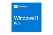 Microsoft Windows 11 Professional OEM 64-bit English 1 Pack DVD. Key NEW