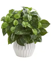 Nearly Natural Pothos Artificial Plant in White Ceramic Vase