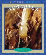 Termites