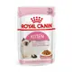 【毛豆寵物】法國皇家 ROYAL CANIN K36W貓濕糧 85G (6.5折)