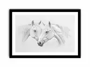 Two white Horses Art Framed print