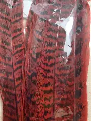 20pcs Natural Pheasant F..ories 9.84-11. Sinch (Red)