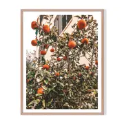 My Citrus Framed Printed Wall Art - Timber