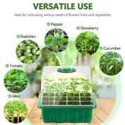 Seedling Germination Box With LED Grow Light Nursery Pot Adjustable Ventilation