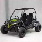 Helmetkarts - FORZA 300cc EFI Adults Utility Buggy Off Road Race Drift Go kart